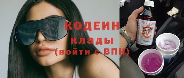 шишки Дмитриев