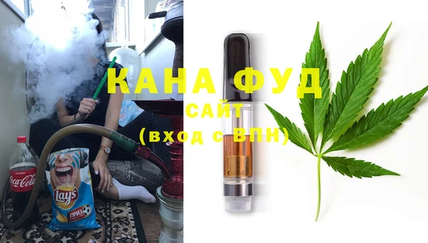 индика Балабаново