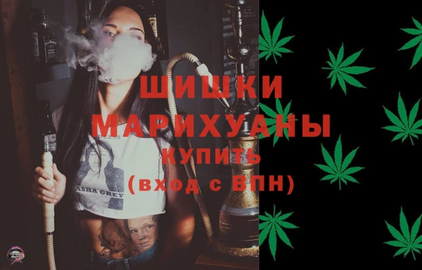 индика Балабаново